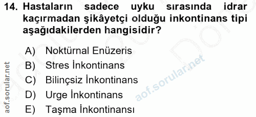 14. soru: Hastaların sadece uyku sirasinda idrar kaçırmadan şikâyetçi olduğu inkontinans tipi aşağıdakilerden hangisidir? A) No…