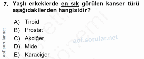 7. soru: Yaşlı erkeklerde en sık görülen kanser türü aşağıdakilerden hangisidir? A) Tiroid B) Prostat C) Akciğer D) Mide E) Ka…