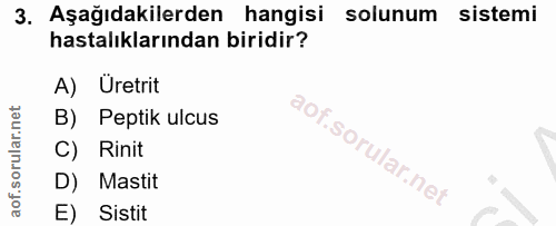 3. soru: Aşağıdakilerden hangisi solunum sistemi hastalıklarından biridir? A) Üretrit B) Peptik ulcus C) Rinit D) Mastit E) Si…
