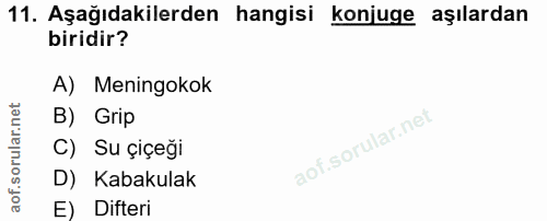 11. soru: Aşağıdakilerden hangisi konjuge aşılardan biridir? A) Meningokok B) Grip C) Su çiçeği D) Kabakulak E) Difteri