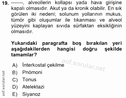 19. soru: --, alveollerin kollapsı yada hava girişine kapalı olmasıdır. Akut ya da kronik olabilir. En sık görülen iki nedeni;…
