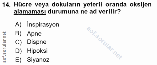 14. soru: Hücre veya dokuların yeterli oranda oksijen alamaması durumuna ne ad verilir? A) Inspirasyon rular.net B) Apne Dispne…