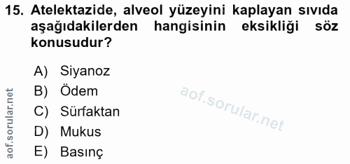 15. soru: Atelektazide, alveol yüzeyini kaplayan sıvıda aşağıdakilerden hangisinin eksikliği sÖZ konusudur? A) Siyanoz B) Odem…
