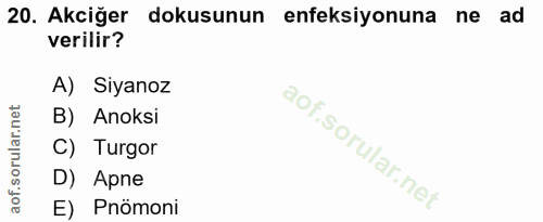 20. soru: Akciğer dokusunun enfeksiyonuna ne ad verilir? A) Siyanoz B) Anoksi C) Turgor D) Apne E) Pnömoni