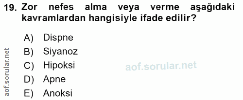 19. soru: Zor nefes alma veya verme aşağıdaki kavramlardan hangisiyle ifade edilir? A) Dispne rular.net B) Siyanoz C) Hipoksi D…