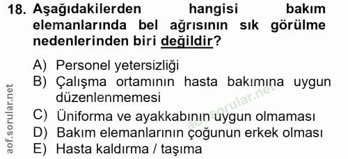 18. soru: Aşağıdakilerden hangisi bakım elemanlarında bel ağrısının sık görülme nedenlerinden biri değildir? A) Personel yeters…