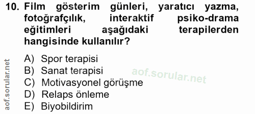 10. soru: Film gösterim günleri, yaratıcı yazma, fotoğrafçılık, interaktif psiko-drama eğitimleri aşağıdaki terapilerden hangis…
