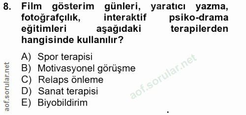 8. soru: Film gösterim günleri, yaratıcı yazma, fotoğrafçılık, interaktif psiko-drama eğitimleri aşağıdaki terapilerden hangis…