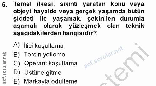 5. soru: Temel ilkesi, sıkıntı yaratan konu veya objeyi hayalde veya gerçek yaşamda bütün şiddeti ile yaşamak, çekinilen durum…