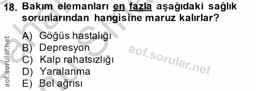18. soru: Bakım elemanları en fazla aşağıdaki sağlık sorunlarından hangisine maruz kalırlar? A) Göğüs hastalığı B) Depresyon C)…