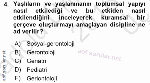 4. soru: Yaşlıların ve yaşlanmanın toplumsal yapıyı nasıl etkilediği ve bu etkiden nasil etkilendiğini inceleyerek kuramsal bi…