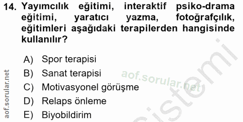 14. soru: Yayımcılık eğitimi, interaktif psiko-drama eğitimi, yaratıcı yazma, fotoğrafçılık, eğitimleri aşağıdaki terapilerden…