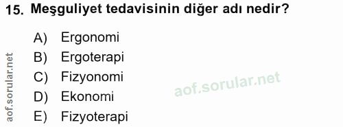 15. soru: Meşguliyet tedavisinin diğer adı nedir? A) Ergonomi B) Ergoterapi C) Fizyonomi D) Ekonomi E) Fizyoterapi