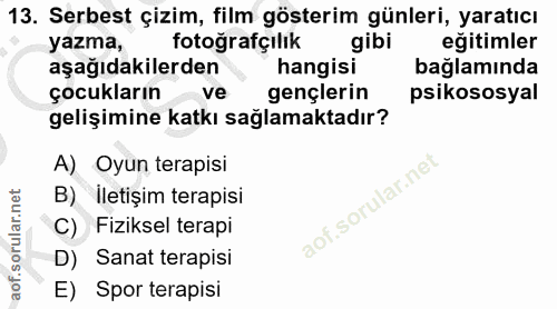 13. soru: Serbest çizim, film gösterim günleri, yaratıcı yazma, fotoğrafçılık gibi eğitimler aşağıdakilerden hangisi bağlamında…