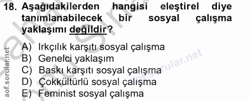 18. soru: Aşağıdakilerden hangisi eleştirel diye tanımlanabilecek bir sosyal çalışma yaklaşımı değildir? A) Irkçılık karşıtı so…