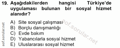 19. soru: Aşağıdakilerden hangisi Türkiye'de uygulaması bulunan bir sosyal hizmet alanıdır? A) Site sosyal çalışmasr or B) Borç…