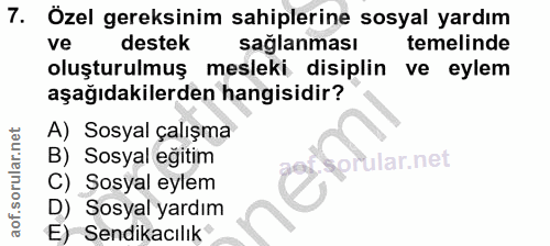 7. soru: Özel gereksinim sahiplerine sosyal yardım ve destek sağlanması temelinde oluşturulmuş mesleki disiplin ve eylem aşağı…