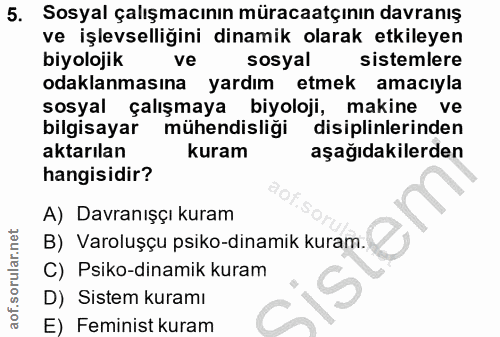 5. soru: Sosyal çalışmacının müracaatçının davranış ve işlevselliğini dinamik olarak etkileyen biyolojik ve sosyal sistemlere…
