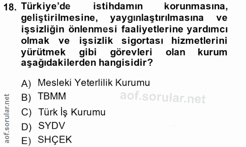 18. soru: Türkiye'de istihdamın korunmasına, geliştirilmesine, yaygınlaştırılmasına ve işsizliğin önlenmesi faaliyetlerine yard…