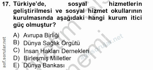 17. soru: Türkiye'de, sosyal hizmetlerin geliştirilmesi ve sosyal hizmet okullarının kurulmasında aşağıdaki hangi kurum itici g…
