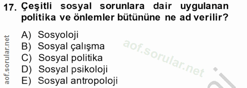 17. soru: Çeşitli sosyal sorunlara dair uygulanan politika ve önlemler bütününe ne ad verilir? A) Sosyoloji B) Sosyal çalışma C…