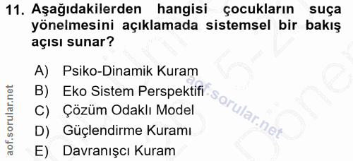 11. soru: Aşağıdakilerden hangisi Çocukların suça yönelmesini açıklamada sistemsel bir bakış açısı sunar? A) Psiko-Dinamik Kura…