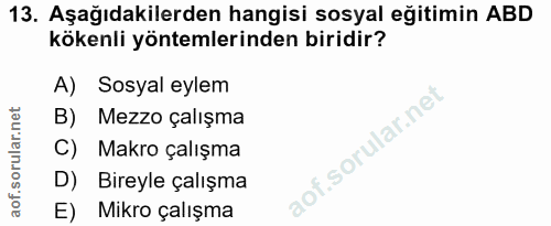 13. soru: Aşağıdakilerden hangisi sosyal eğitimin ABD kökenli yöntemlerinden biridir? A) Sosyal eylem B) Mezzo çalışma C) Makro…