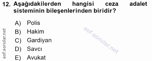 12. soru: Aşağıdakilerden hangisi ceza adalet sisteminin bileşenlerinden biridir? A) Polis B) Hakim C) Gardiyan D) Savci E) Avukat