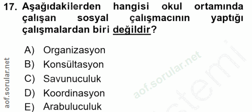 17. soru: Aşağıdakilerden hangisi okul ortamında çalışan sosyal çalışmacının yaptığı çalışmalardan biri değildir? A) Organizasy…