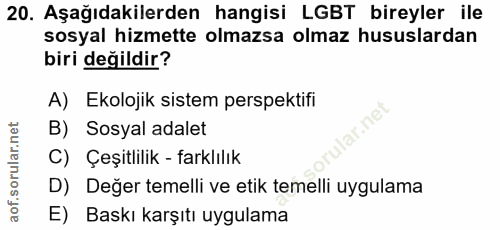 20. soru: Aşağıdakilerden hangisi LGBT bireyler ile sosyal hizmette olmazsa olmaz hususlardan biri değildir? A) Ekolojik sistem…