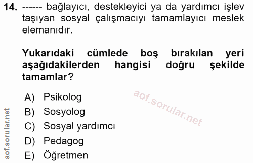 14. soru: - bağlayıcı, destekleyici ya da yardımcı işlev taşıyan sosyal çalışmacıyı tamamlayıcı meslek elemanıdır. Yukarıdaki c…