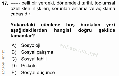 17. soru: -- belli bir yerdeki, dönemdeki tarihi, toplumsal özellikleri, ilişkileri, sorunları anlama ve açıklama çabasıdır. Yu…