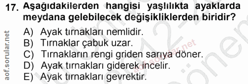 17. soru: Aşağıdakilerden hangisi yaşlılıkta ayaklarda meydana gelebilecek değişikliklerden biridir? A) Ayak tırnakları nemlidi…