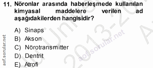 11. soru: Nöronlar arasında haberleşmede kullanılan kimyasal maddelere verilen ad aşağıdakilerden hangisidir? A) Sinaps not B)…