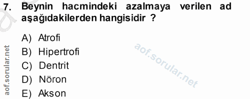7. soru: Beynin hacmindeki azalmaya verilen ad aşağıdakilerden hangisidir ? A) Atrofi B) Hipertrofi aof.sorular.nel C) Dentrit…