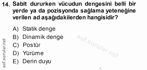 14. soru: Sabit dururken vücudun dengesini belli bir yerde ya da pozisyonda sağlama yeteneğine verilen ad aşağıdakilerden hangi…