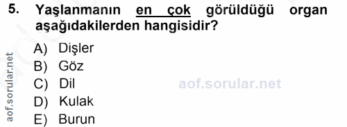 5. soru: Yaşlanmanın en çok görüldüğü organ aşağıdakilerden hangisidir? A) Dişler B) Göz C) Dil D) Kulak E) Burun