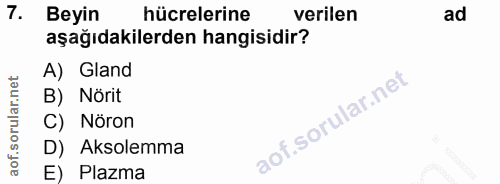 7. soru: Beyin hücrelerine verilen ad aşağıdakilerden hangisidir? A) Gland B) Nörit C) Nöron D) Aksolemma E) Plazma