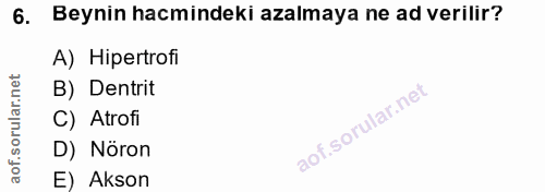 6. soru: Beynin hacmindeki azalmaya ne ad verilir? A) Hipertrofi rular.net B) Dentrit C) Atrofi aof.so D) Nöron E) Akson