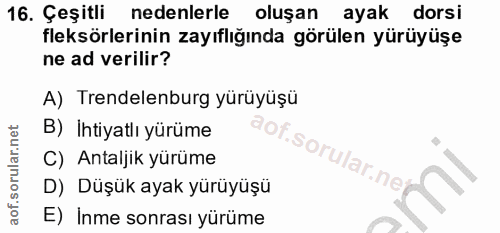 16. soru: Çeşitli nedenlerle oluşan ayak dorsi fleksörlerinin zayıflığında görülen yürüyüşe ne ad verilir? A) Trendelenburg yür…