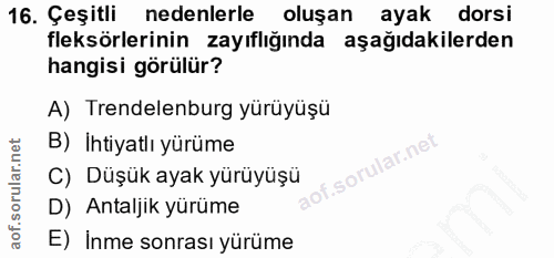 16. soru: Çeşitli nedenlerle oluşan ayak dorsi fleksörlerinin zayıflığında aşağıdakilerden hangisi görülür? A) Trendelenburg yü…
