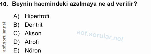10. soru: Beynin hacmindeki azalmaya ne ad verilir? A) Hipertrofi B) Dentrit C) Akson D) Atrofi E) Nöron