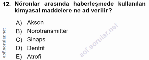 12. soru: Nöronlar arasında haberleşmede kullanılan kimyasal maddelere ne ad verilir? A) Akson B) Nörotransmitter C) Sinaps D)…