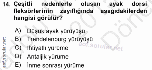 14. soru: Çeşitli nedenlerle oluşan ayak dorsi fleksörlerinin zayıflığında aşağıdakilerden hangisi görülür? A) Düşük ayak yürüy…