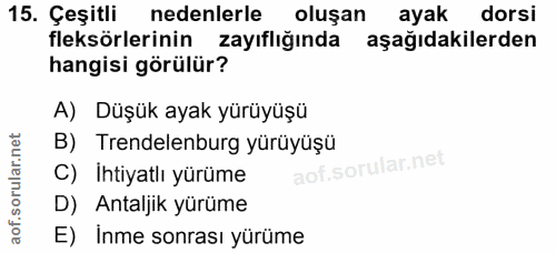 15. soru: Çeşitli nedenlerle oluşan ayak dorsi fleksörlerinin zayıflığında aşağıdakilerden hangisi görülür? A) Düşük ayak yürüy…