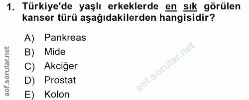 1. soru: Türkiye'de yaşlı erkeklerde en sık görülen kanser türü aşağıdakilerden hangisidir? A) Pankreas B) Mide C) Akciğer aof…