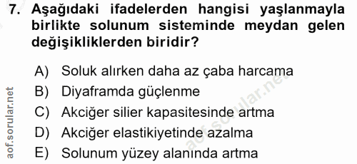 7. soru: Aşağıdaki ifadelerden hangisi yaşlanmayla birlikte solunum sisteminde meydan gelen değişikliklerden biridir? A) Soluk…