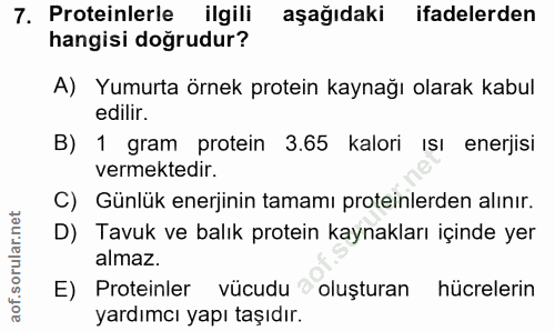 7. soru: Proteinlerle ilgili aşağıdaki ifadelerden hangisi doğrudur? A) Yumurta örnek protein kaynağı olarak kabul edilir. B)…