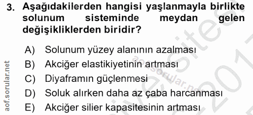 3. soru: Aşağıdakilerden hangisi yaşlanmayla birlikte solunum sisteminde meydan gelen değişikliklerden biridir? A) Solunum yüz…