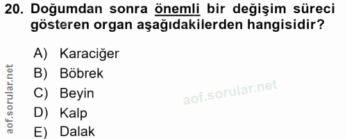 20. soru: Doğumdan sonra önemli bir değişim süreci gösteren organ aşağıdakilerden hangisidir? A) Karaciğer B) Böbrek C) Beyin D…
